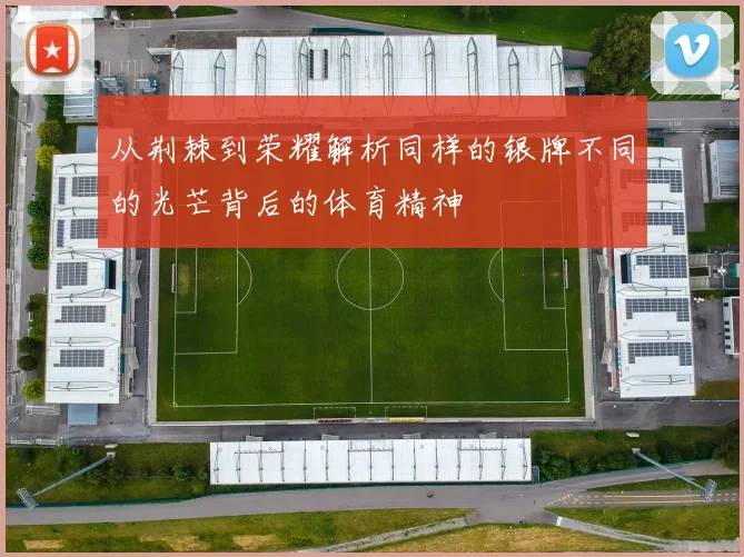 从荆棘到荣耀解析同样的银牌不同的光芒背后的体育精神